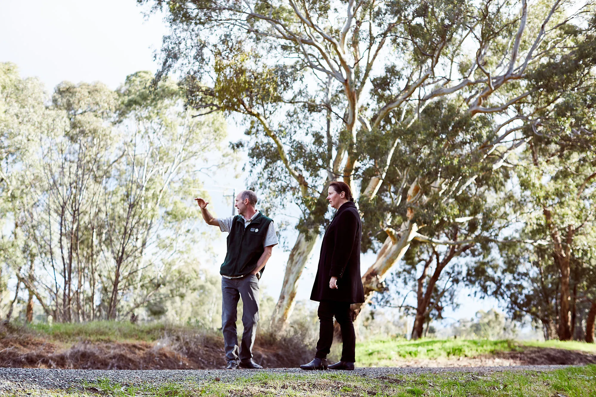 160722 Thick Land Care 808 2