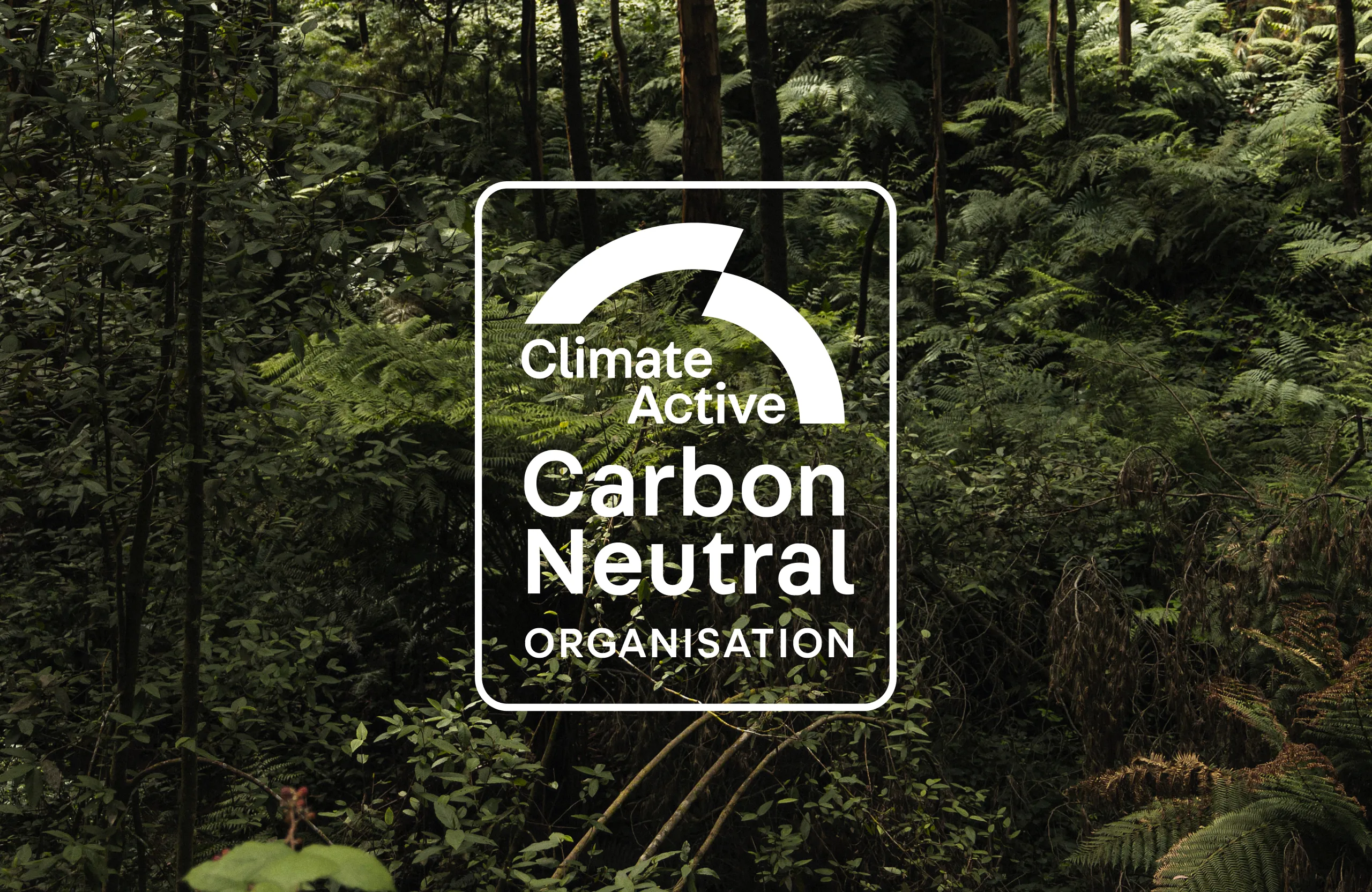 Today Strategic Design Carbon Neutral 2023